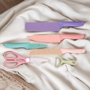 6pcs Set Macaron-Colored Stainless Steel Kitchen Knife Set With Wheat Straw Handle, Boxed Set For Cooking And Cutting Fruit