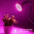 thumbnail image 4 of Brighten Your Indoor Garden With Our Full Spectrum LED Plant Bulb, Designed To Enhance Seedling Development And Flowering, Enjoy Safe And Reliable Lighting For Healthy Plant, 4 of 5