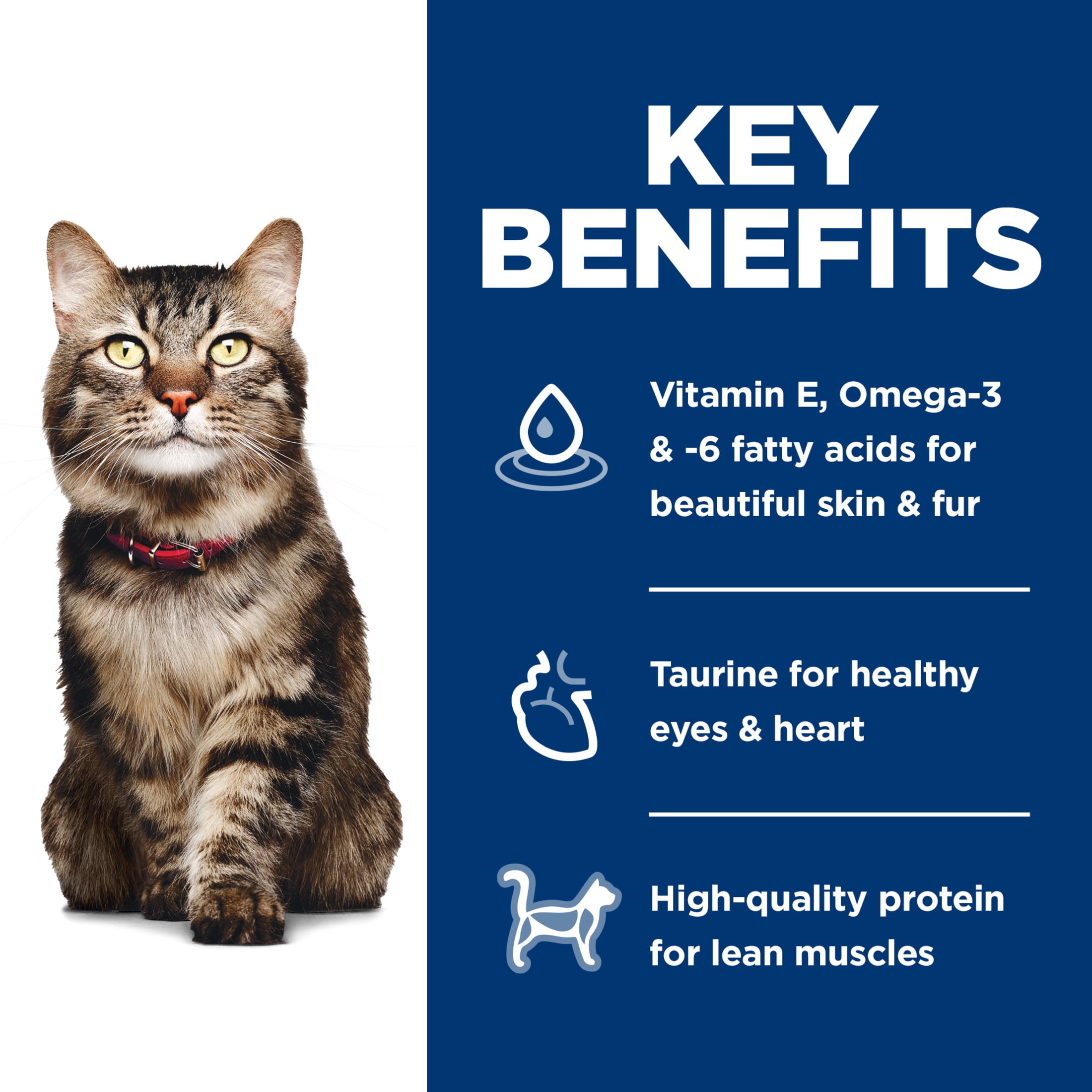 Hill's Science Diet Hairball Control Chicken Dry Cat Food for 7+ Senior Cats, 15.5lb Bag