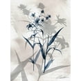 thumbnail image 2 of Art.com Indigo Bloom IV Art Print by John Butler, 12" x 16", 2 of 4