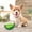 B, variante sur Jouets pour Animaux Titre de Produit Jouet de Dentition Congelable pour Chiens et Chiots avec Motif d'Ananas et de Melon d'Eau Jouet à Mâcher pour la Dentition et Chiots en Dentition Convenant à la Glace et Durable
