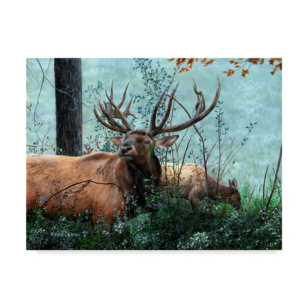 Trademark Fine Art 'Elk Foraging' Canvas Art by Kevin Daniel - Walmart ...