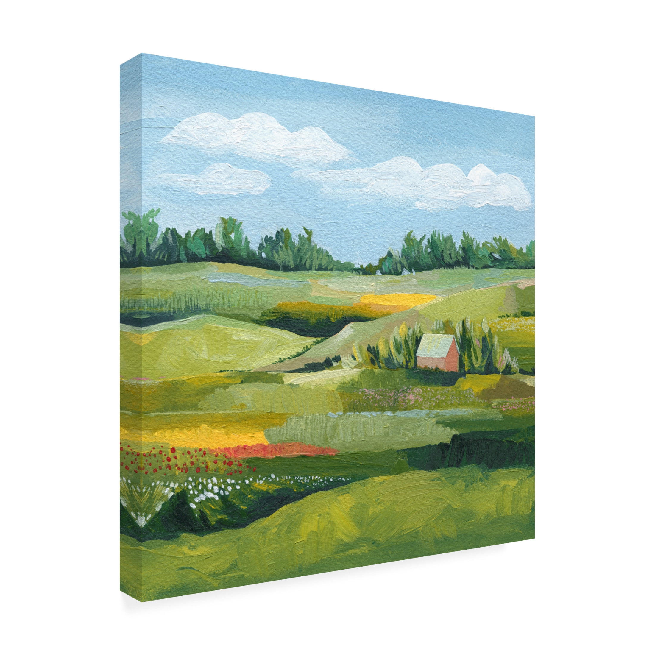 Canvas Wall Art - Grace Popp 'Idyllic Valley II' Wall Art for Living Room, Bedroom, or Office Décor by Trademark Fine Art - 14 x 14 Inches
