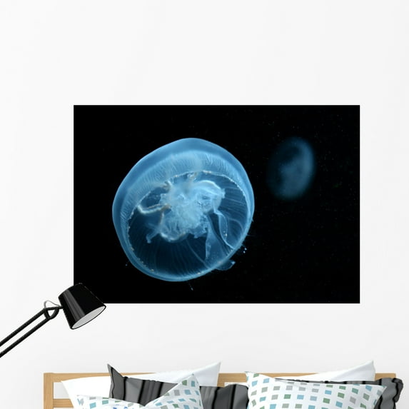 Moon Jellyfish Wall Mural by Wallmonkeys Peel and Stick Graphic (48 in W x 33 in H) WM10745