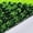 Green, variant on Boys Girls Sneakers Kids Sports Running Walking Shoes for Toddler/Little Kid/Big Kid for 11.5-12 Years,Red