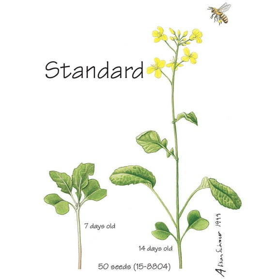 Wisconsin Fast Plants Standard Seed, Pack Of 50
