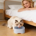 thumbnail image 5 of Ailezt Spill Proof Water Bowl Large Capacity No Dish Slow Drinking Design With Guard Base For Stability Puppy Bowl Crate Travel Indoor Outdoor Water Bo, 5 of 6