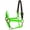 Lime, variant on Perri's Premium Nylon Safety Halter (Turqouise, Pony)