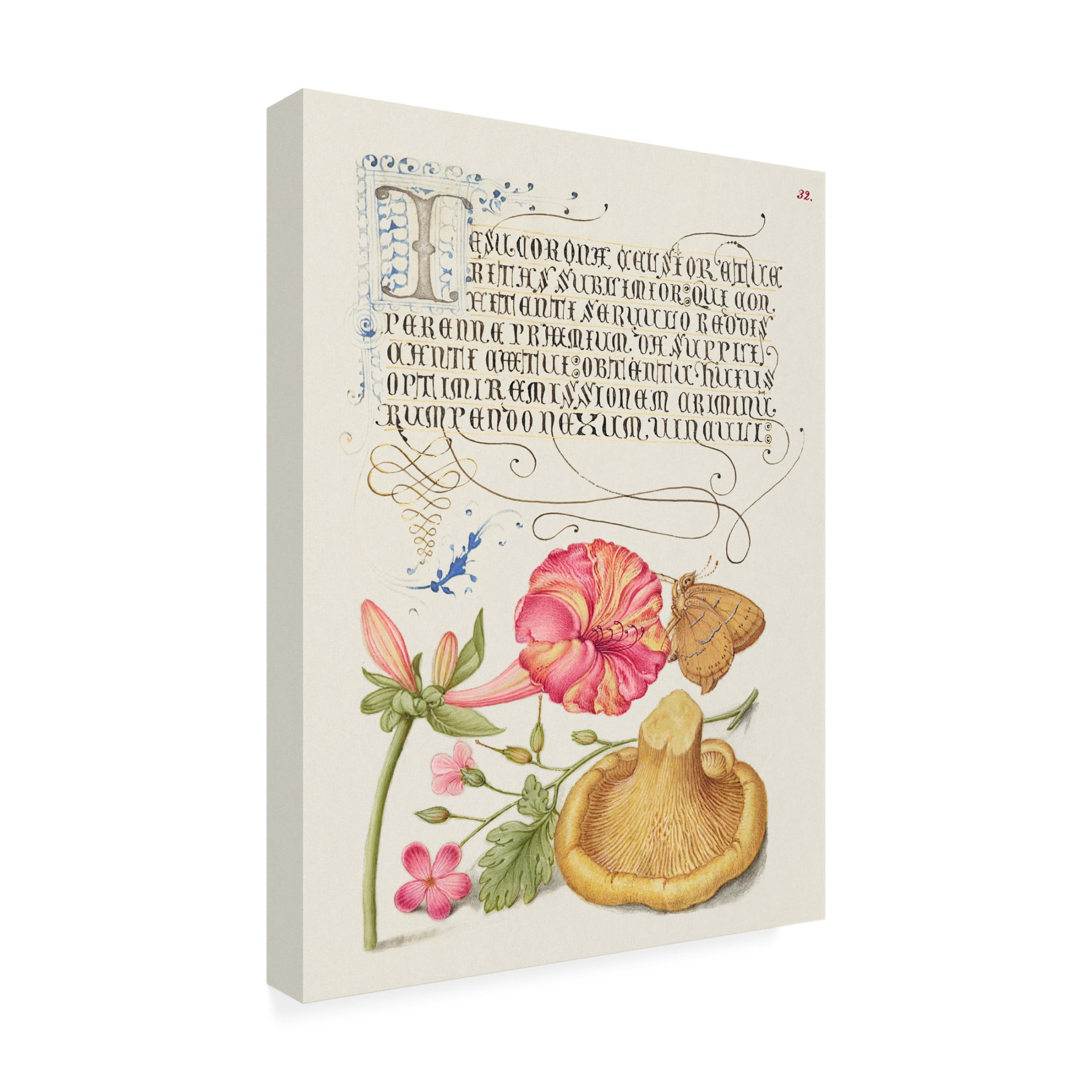 Trademark Fine Art Pictufy  Mira Calligraphiae Monumenta Canvas Wall Art