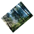 thumbnail image 2 of ABPHOTO Polyester Forest Road under the Sun Backdrops 7x5ft Photography Backgrounds Photo Props for Studio or Stage, 2 of 3