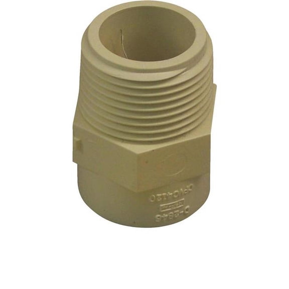 Charlotte Pipe CTS021091000HA 1 in. Male Thread to CPVC Adapter