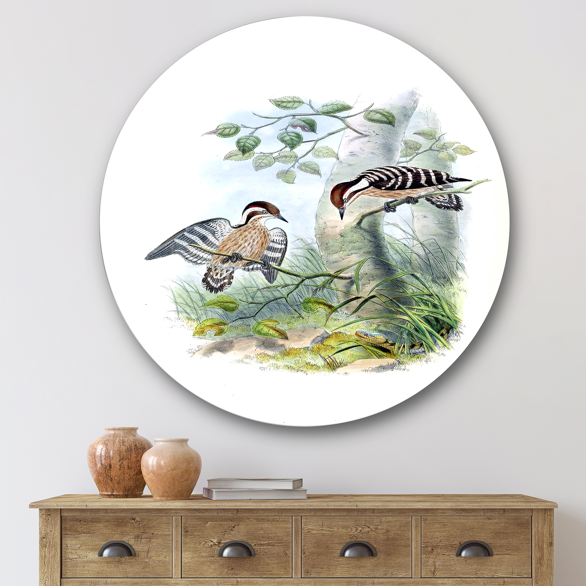 Designart 'Ancient Birds In The Wild I' Traditional Circle Metal Wall Art 36x36 - Disc of 36