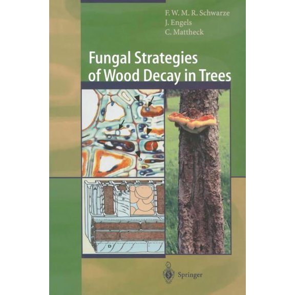 Fungal Strategies of Wood Decay in Trees, (Paperback)