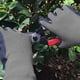 thumbnail image 5 of 2 pares de guantes de jardinería para niños, guantes antideslizantes para deshierbe, poda, plantación 、 floración, 5 of 5