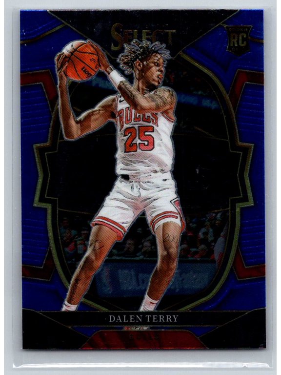 2022-23 Panini Select Dalen Terry Chicago Bulls #89 Blue RC Basketball Card