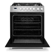 30 in. Nebula Collection 5.0 cu. ft. 5 burner Gas Range in Stainless Steel
