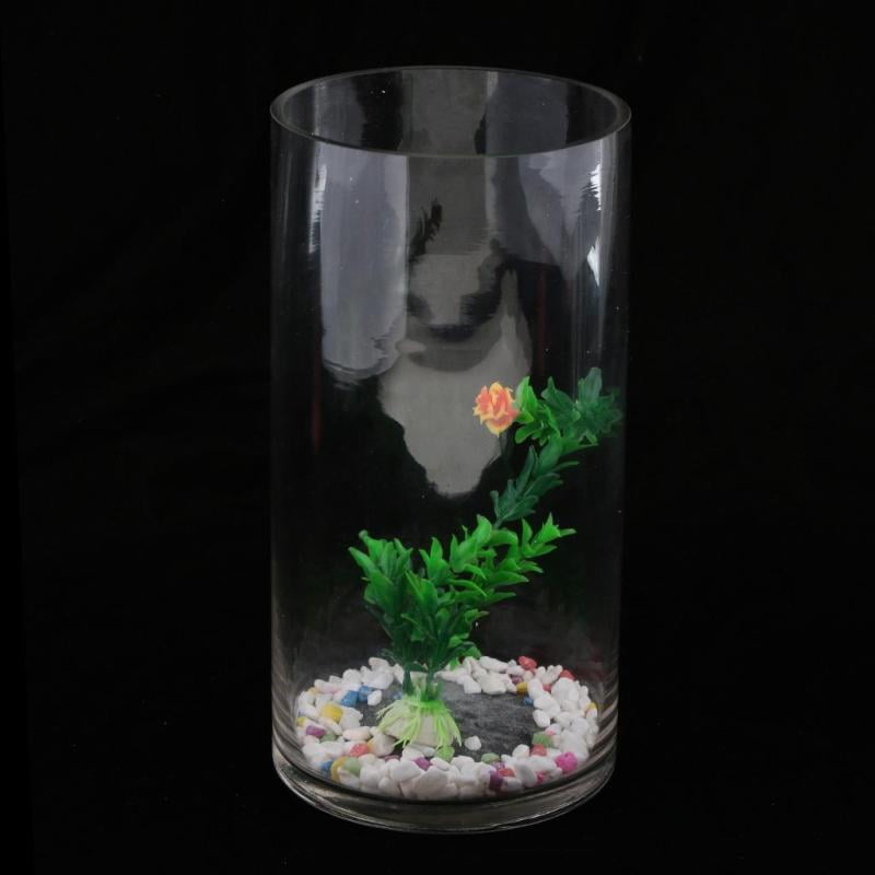cylindrical glass aquarium