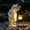 White Bear, variant on Garden Statue Turtle Solar LED Lights Outdoor Yard Patio Decor