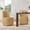 Sand - Genuine Leather, variant on ReNest Modern Upholstered Genuine Leather Dining Chairs, Set of 2, with Wood Base and Hidden Casters, Easy Clean and Durable, Saddle
