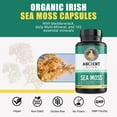 thumbnail image 2 of Ancient Bliss Organic Irish Sea Moss Pills, Rich in 102 Minerals -Dr. Sebi Wildcrafted Sea Moss Capsules Thyroid, Healthy Skin & Joint Support, 120 Capsules, 2 of 7