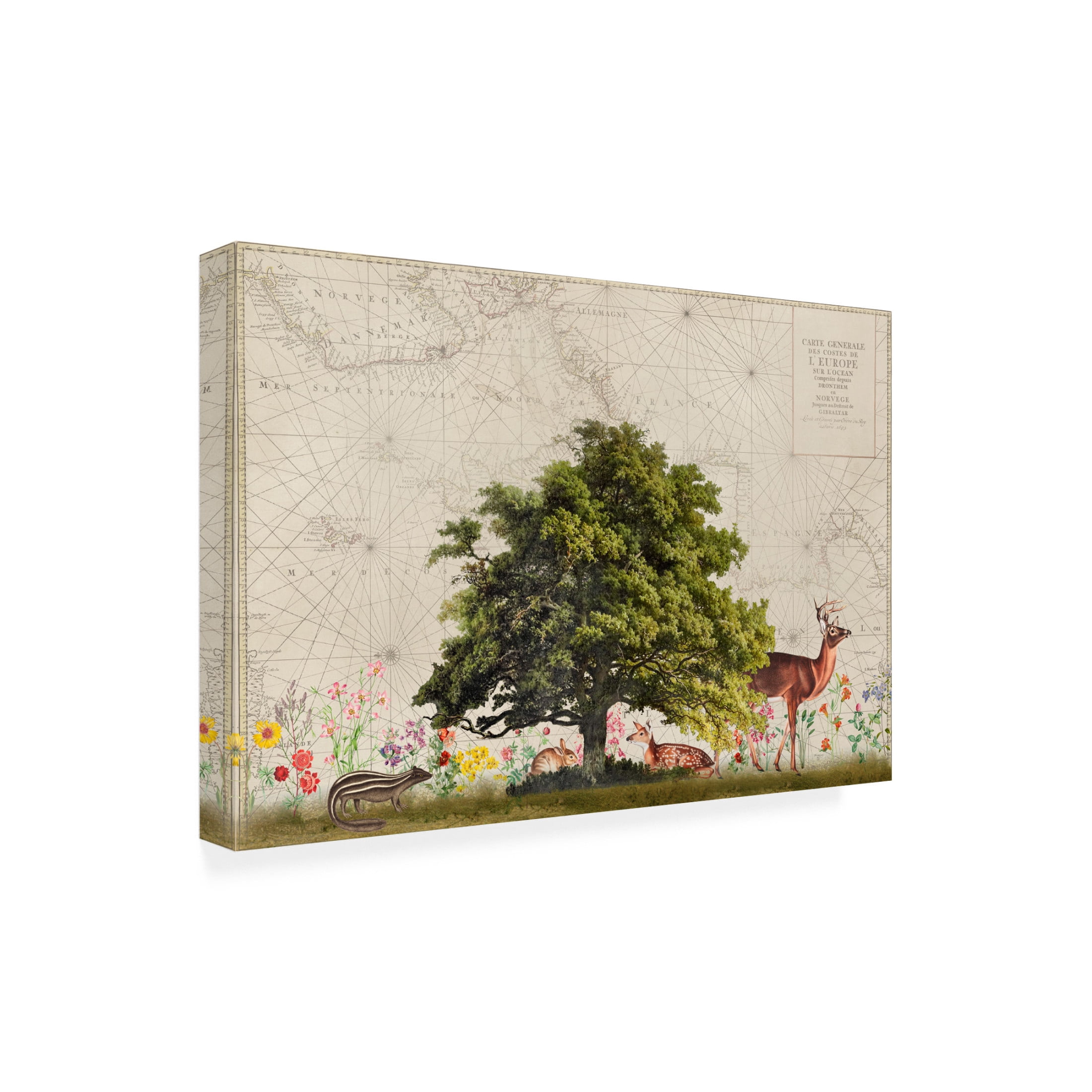 Trademark Fine Art Andrea Haase Nordic Woods No2 Canvas Wall Art