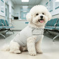 thumbnail image 6 of GASTROPOD 2026 New Dog Anxiety Jacket,Skin-Friendly Dog Calming Vest-Dog Shirt for Thunder,Fireworks and Separation-Keep Pet Calm Without Medicine & Training,Anti Anxiety Vest for Dogs (Dark Grey,Xs), 6 of 7