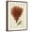 Brown Frame, variant on Art.com Antique Red Coral V Art Print by Vision Studio, 12" x 16"