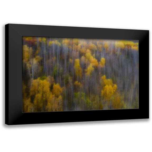 Z, Bingo 14x11 Black Modern Framed Museum Art Print Titled - The color of autumn