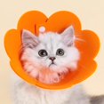 thumbnail image 2 of Liquidation! Collier de Récupération pour Chat Collier Fleur Doux Réglable Collier E après Protection pour Chat et Chiot Ensemble Elizabeth, Orange, 2 of 9
