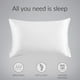 thumbnail image 3 of Funda de almohada de satén para el cabello y la piel, paquete de 2 - Fundas de almohada de tamaño estándar - Fundas de almohada de satén con cierre de sobre Adepaton LRWJ057-32, 3 of 6