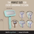 thumbnail image 3 of Tauro Pro Line Wooden Slicker Brush for Dogs & Cats, Deshedding & Detangling Tool for Medium to Long Coats, Flexible Cushion, Medium (M), Mint, 3 of 9