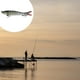 thumbnail image 5 of 1 unid Señuelos de pesca articulados Agua dulce Agua salada Aspecto realista 10cm Sharpla Señuelos de pesca conjuntos, 5 of 7