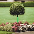 thumbnail image 1 of CTIRCHIU 2 Pcs Squirrel Tree Guard Green to Protect Bark of Trees and Saplings, 1 of 8
