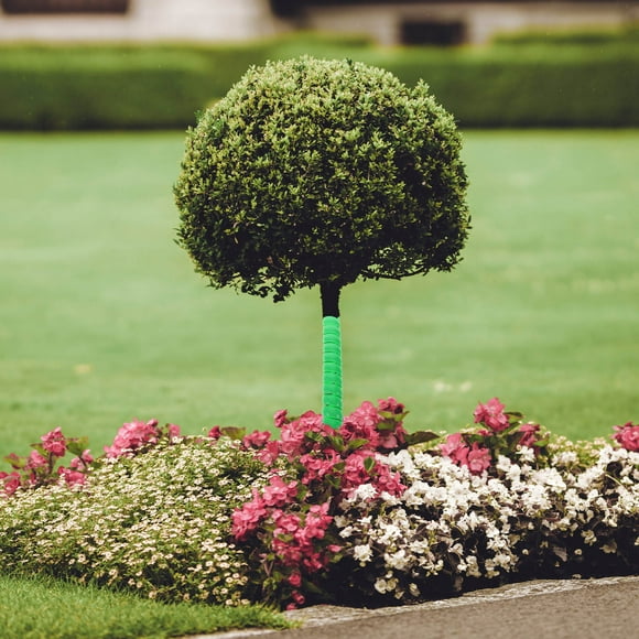 CTIRCHIU 2 Pcs Squirrel Tree Guard Green to Protect Bark of Trees and Saplings