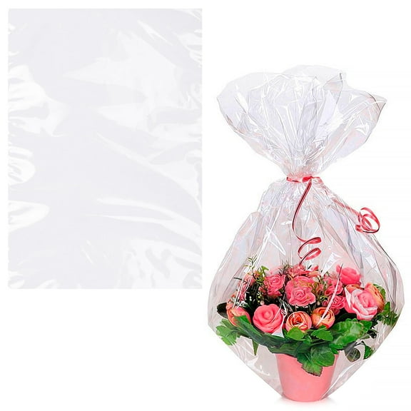 Clear Packing Bags, 2 Mil Poly Mailers with Open Top, 500 Count, 15 x 24 in