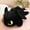 Black, variant on Little Flying Dragon Plush Toy Party Models Toothless Doll Pillow Girls Birthday Gift Dolls
