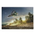 thumbnail image 1 of Teen Room Cutting Board, Man on the Bike Racing in Earth Path Nature and Exotic Sports Success Theme Image, Decorative Tempered Glass Cutting and Serving Board, Large Size, Multicolor, by Ambesonne, 1 of 1