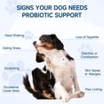 thumbnail image 4 of Probiótico para perros Woyamay 200 golosinas para la salud digestiva, 4 of 8