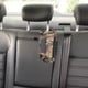 thumbnail image 4 of unbranded Soporte Colgante Para Pañuelos Ideal Para Picnic Y Camping Con Tela Resistente, 4 of 6