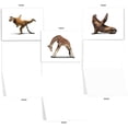 thumbnail image 3 of M6547OCB Zoo Yoga: 10 Assorted Blank All-Occasion Note Cards Featuring Fun and Flexible Zoo Animals Practicing Various Yoga Poses, w/White Envelopes. by, 3 of 7