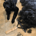 thumbnail image 4 of Long Tooth Undercoat Dog Rake,Anti-Slip Wood Handle Grooming Rake,Steel Comb for Long Hair Pet, 4 of 13