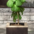 thumbnail image 2 of Homestyles Palm Springs Acacia Wood Top and Rattan Outdoor Planter in Dark Brown, 2 of 9