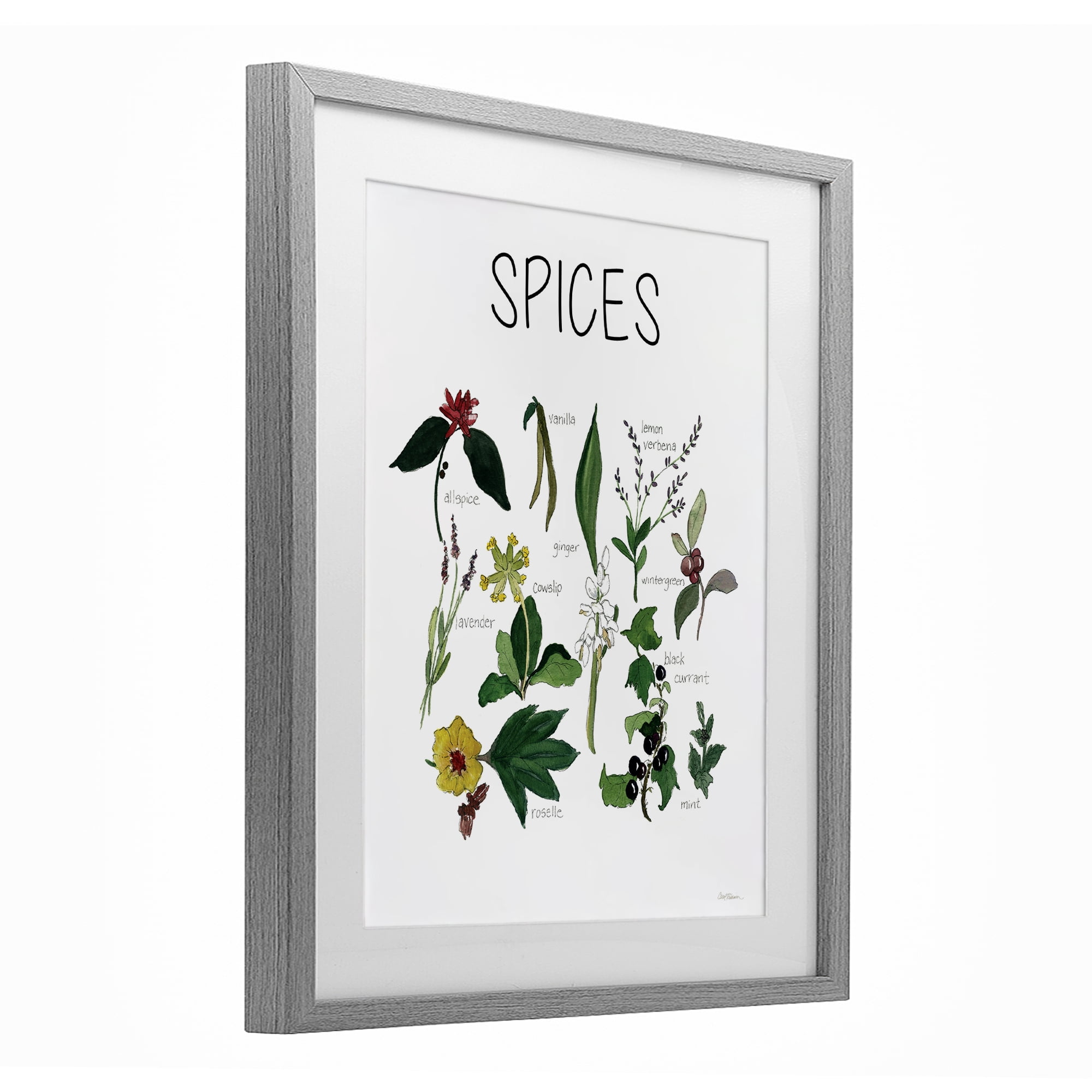Stupell Industries Spices Identification Chart Gray Framed Print Under Glass, design by Carol Robinson