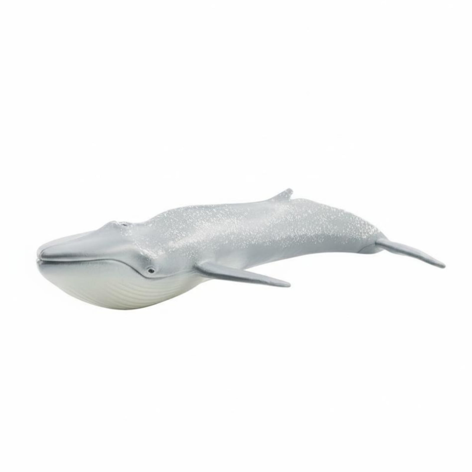 MERIGLARE 1 Marine Mammal Blue Whale Model Detailed PVC Ocean Animal Figure 28.5cm Long Realistic Toy for Classroom Project Youth Play