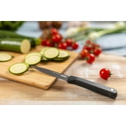 Kuhn Rikon ICED Serrated Paring Knife 3.5-Inch, Ice Hardened German Stainless Blade