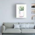 thumbnail image 3 of Jennifer Paxton Parker 'Potted Succulent III' Canvas Art, 3 of 3