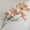 Champagne, variant on 2 Pcs Artificial Fake Flowers Plants Cosmos Silk Flower Arrangements Wedding Bouquets Decorations Plastic Floral Table Centerpieces for Home Kitchen Garden Party Decor Approx 23.6'' High