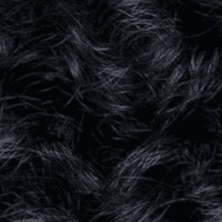 Silken Black