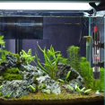 thumbnail image 3 of Calentador de acuario, varilla de calentamiento de tanque de peces, termostato sumergible, controlador de temperatura externo, dispositivo automático, 3 of 5