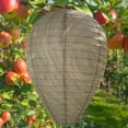 thumbnail image 3 of JShteea Wasp Nest Decoy Hanging Wasp Deterrent Safe Garden Trampa Repelente (cian Claro), 3 of 6